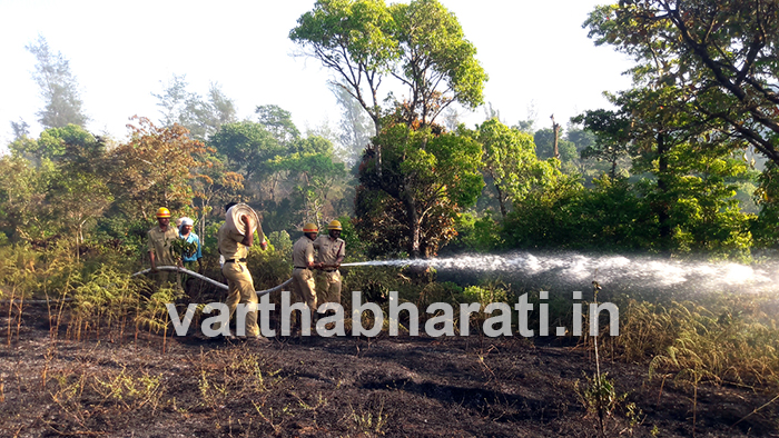 ಚಾರ್ಮಾಡಿ ಘಾಟ್‍ನಲ್ಲಿ ಕಾಡ್ಗಿಚ್ಚು: ಅರಣ್ಯ ಬೆಂಕಿಗಾಹುತಿ
